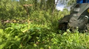 По Сибирской тайге на МТЛБ. Таёжный off-road! Жесткий маршрут!