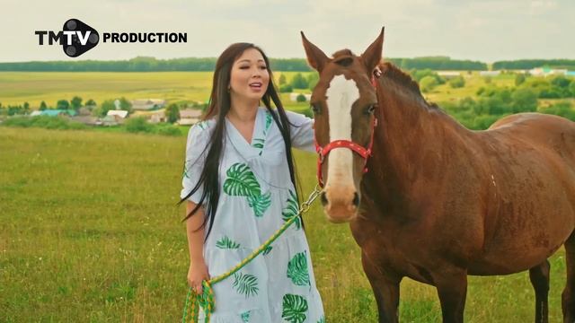 Чулпан Юсупова - Туган ягыма / лучшие татарские клипы / Tmtv Production
