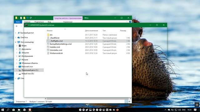 Как установить Windows Media Center в Windows 10 смотреть онлайн