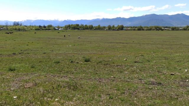 Окрестности села Теректа