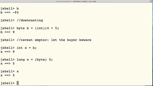 Java's Four Primitive Integer Types: byte, short, int, and long смотреть онлайн