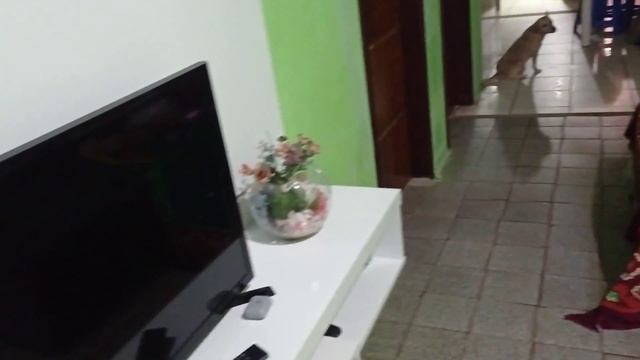 TV BOX COM PROBLEMA DE CONEXÃO COM WI-FI, RESOLVIDO! смотреть онлайн