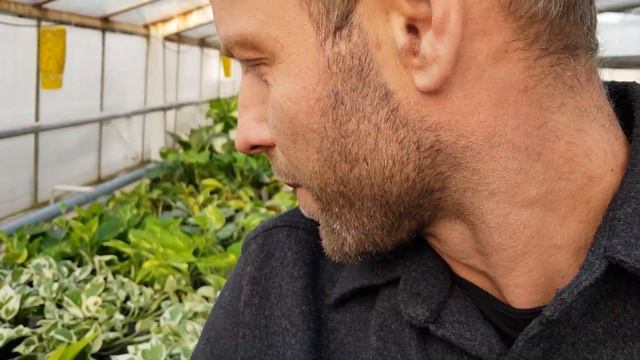 DOSTAWA EGZOTYKÓW ZIMĄ TO NIE PROBLEM, krótki dzień i rośliny cieniolubne żyją w zgodzie. смотреть онлайн