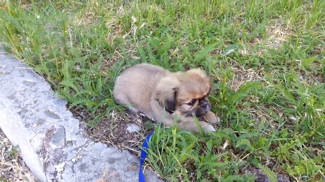 СКИННИ БОДИ КЕА! БЕЗ БУДИЛЬНИКА И БЕЗ НАЧАЛЬНИКА смотреть онлайн