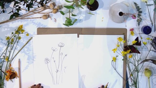 Saturday Sketch Club: botanical drawing смотреть онлайн