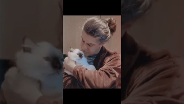 несколько секунд о любви Человека и Кошки (Николай и Габриэль) февраль 2022 смотреть онлайн