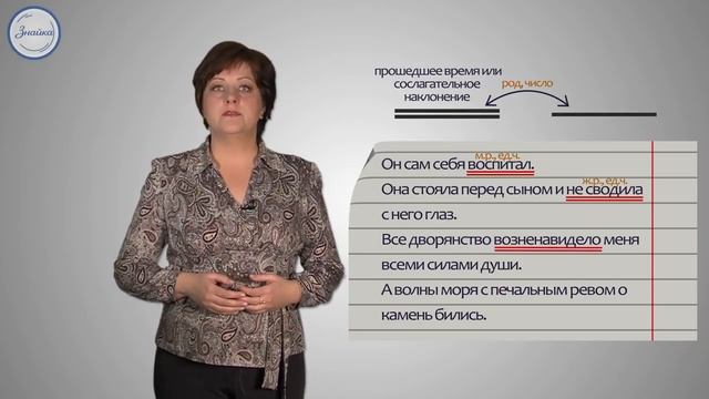 Русский язык 8 класс Простое глагольное сказуемое смотреть онлайн