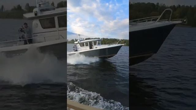 Гонка катеров Targa и Sargo #катер #boat #boattesting #яхта смотреть онлайн