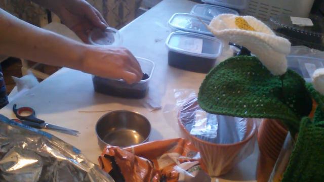 Мимоза Стыдливая,продолжение 2 части смотреть онлайн