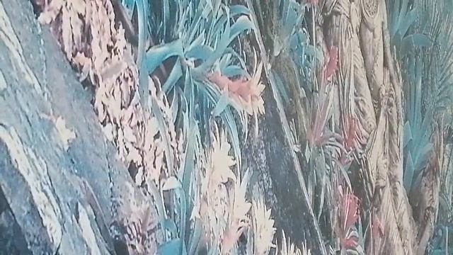 Мой tele 2. Тариф не определён смотреть онлайн