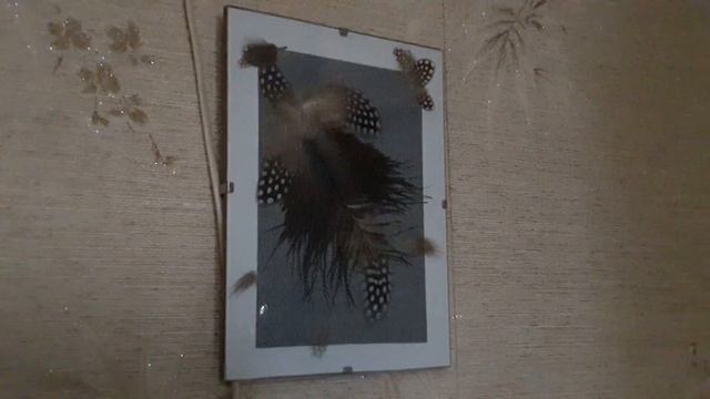 Что я делаю с цветами в дальнейшем после того как орхидея отцветет. смотреть онлайн