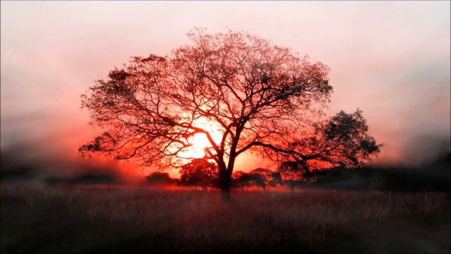 Native American Indian Music - Sunset Ceremony- Earth Drums 02 смотреть онлайн