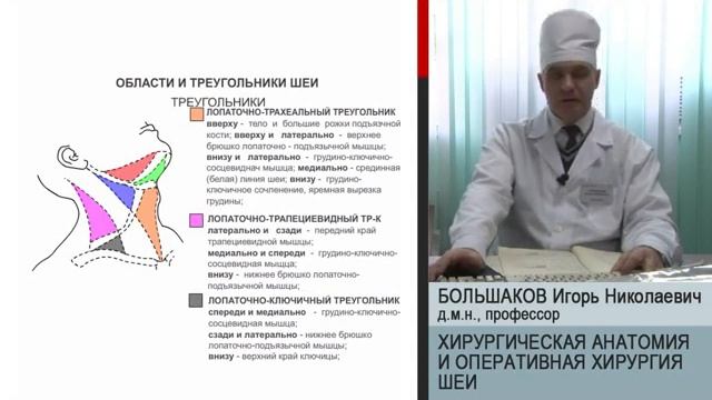 Лекция. Хирургическая анатомия и оперативная хирургия шеи — Большаков смотреть онлайн