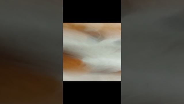 кривой камерамен 5 #тренд#скибили#амогус#сериал#мульт#сам зделал#топ#реек#рекомендации смотреть онлайн