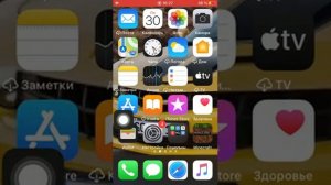 Что делать-“Ненадёжный корпоративный разработчик “на IPhone