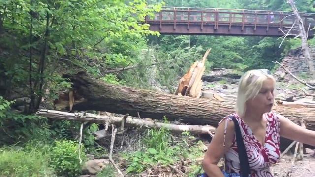 « Старость меня дома не застанет...» смотреть онлайн