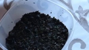 Как я делаю ФЕРМЕНТИРОВАННЫЙ ЧАЙ из ЛИСТЬЕВ ВИШНИ.