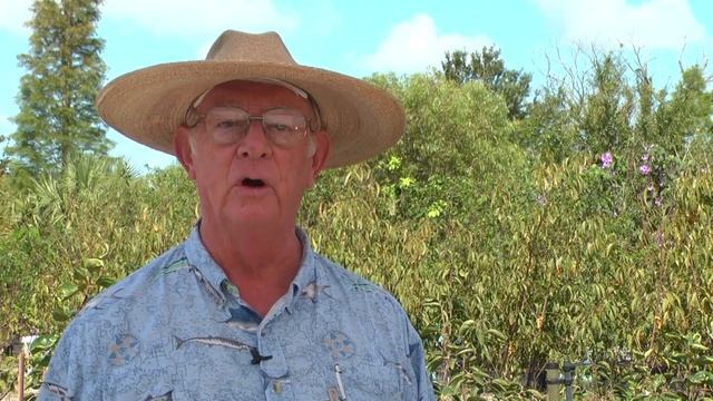 How to Grow Lime Trees смотреть онлайн