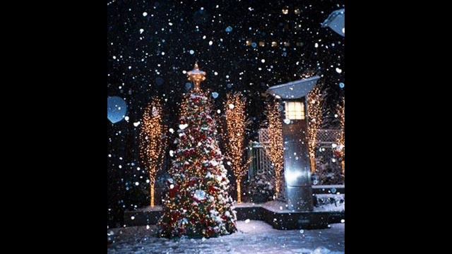 Toby Keith - Blame It On The Mistletoe смотреть онлайн