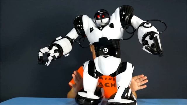 Игрушки Роботы на русском. Робот Robosapien WowWee 8081. Роботы на пульте управления.