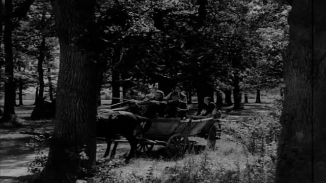 La Moara Cu Noroc (1955 - Digital Remastering Full HD)