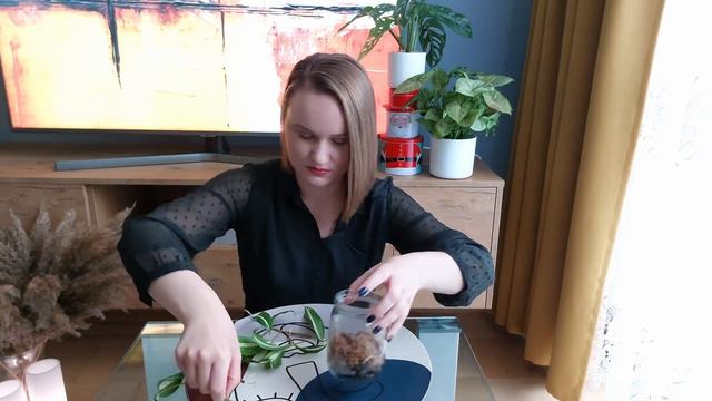 🪴Nowa metoda | DRACENA смотреть онлайн