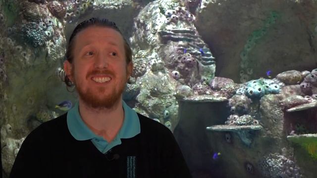 Our Aquarium is Changing...World Museum | National Museums Liverpool смотреть онлайн