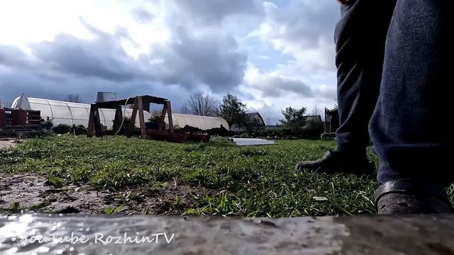 Индюк от А до Я. Содержание. Кормление. Забой. Вес в 5 мес. смотреть онлайн