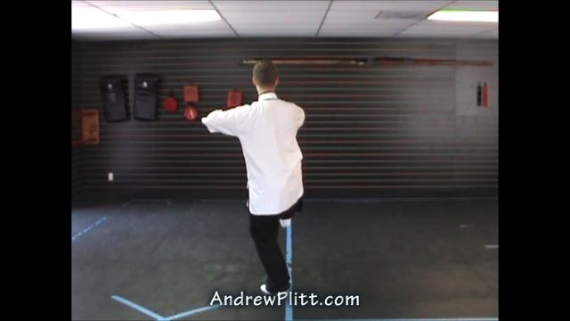 (55/93) Yang Tai Chi 108 Form: Turn Body and Chop with Fist (Yang Shi Taijiquan) смотреть онлайн