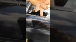 Honda odyssey течёт крыша
