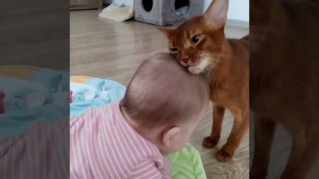 Абики и дети смотреть онлайн