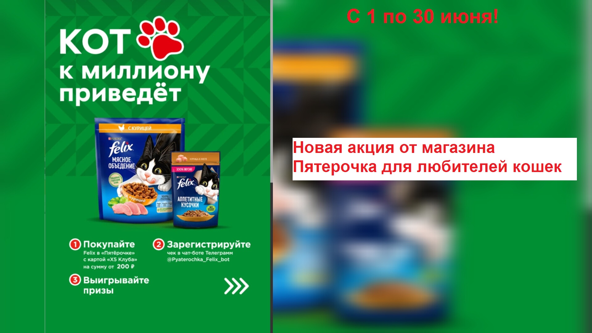 Акция в приложении Пятерочка: «Кот к миллиону приведет» смотреть онлайн