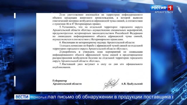 В Котласе на мясоперерабатывающем предприятии обнаружена африканская чума свиней смотреть онлайн