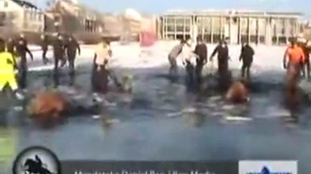 11 лошадей провалились под лед смотреть онлайн