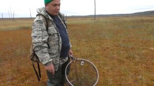 Как можно  быстро собирать клюкву / Как быстро  собрать клюкву рыболовным сачком ???