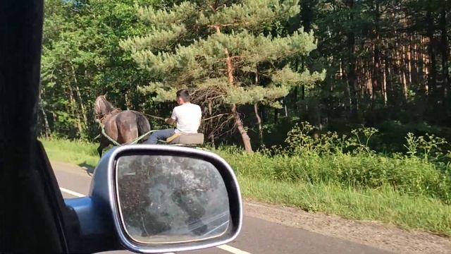 Орловский Рысак покупаем для души смотреть онлайн