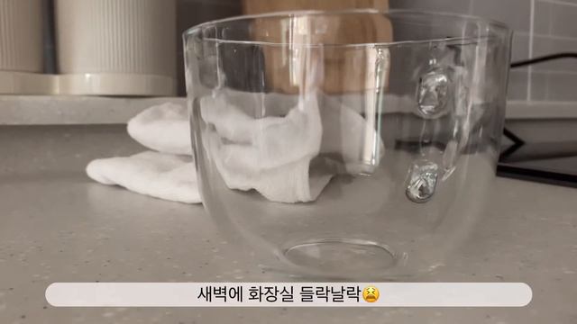 [sub]고양이 스케일링,고양이목욕,집사브이로그,일상브이로그,계속되는 집정리