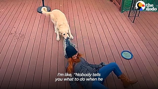 Ring Camera Catches Woman And Her Dog In The Happiest Moment Ever | The Dodo смотреть онлайн
