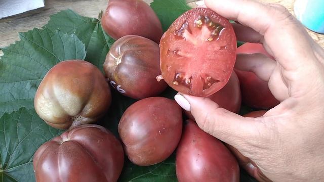 Эти томаты дают 20 кг с метра. и не смотрите что 50 см смотреть онлайн