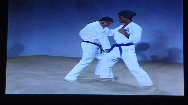 COMBAT SHOTOKAN VIDEO 4 BLOCKING TECHNIQUES