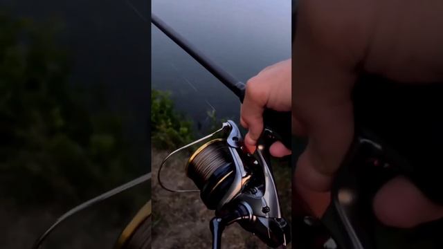 Рыбаки от этого тащутся смотреть онлайн