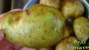 Обычная картошка вылечит  пяточную шпору?!