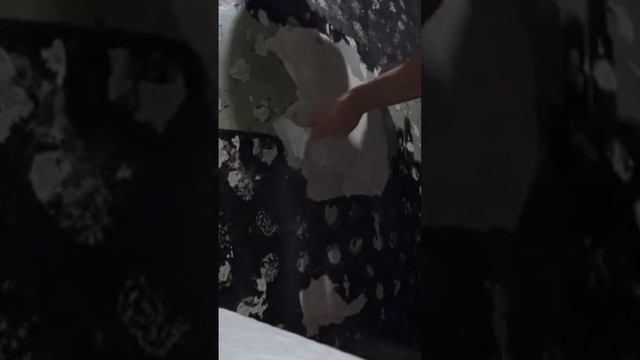 Как снять старую краску со стен скребком... смотреть онлайн