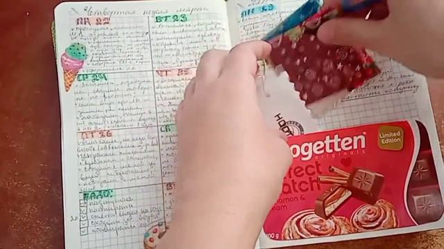 мой ежедневник, планер, bullet journal за 2021 год #обзор смотреть онлайн