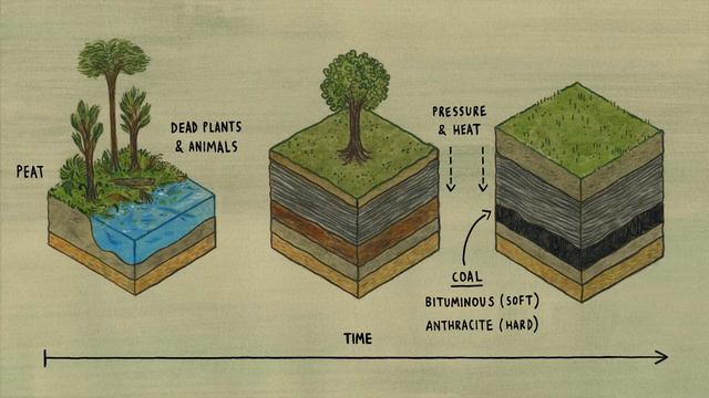 How coal is formed смотреть онлайн