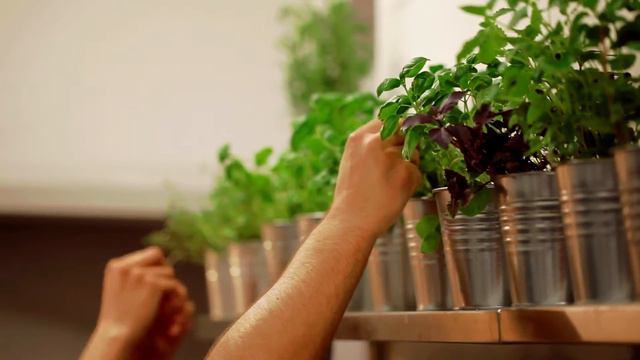 Amarylis Restaurant from breakfast to late dinner смотреть онлайн