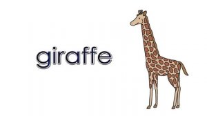 Zoo Animals | Talking Flashcards