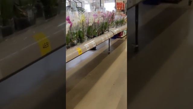 ВИДЕО УЖЕ НА КАНАЛЕ ПОДПИШИСЬ #рекомендации #подпишись #николаев #хочуврек #блогер #городгерой смотреть онлайн