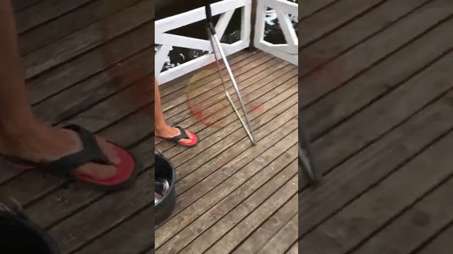 with dad fishing: 和爸爸一起釣魚 С папой на рыбалке смотреть онлайн