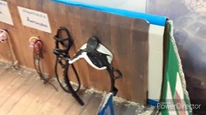 Обзор на самодельную конюшню для лошадей шляйх.